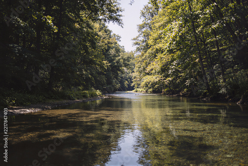 Calm forest river with mirror-like reflections of green trees under a bright sky