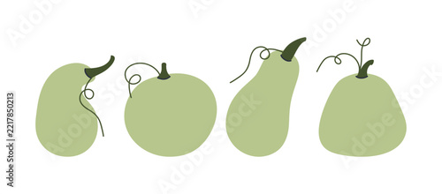 Set of pumpkins of various shapes
