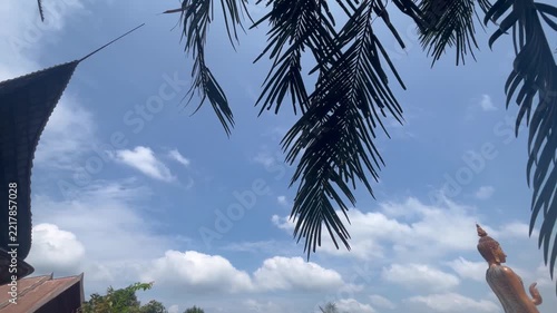 tree, palm, sky, coconut, beach, green, cloud