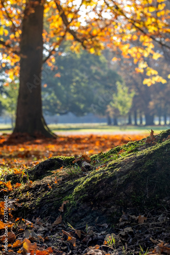 Goldener Oktober in Hannover