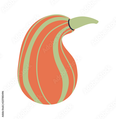 Orange striped pumpkin. Autumn harvest. Cute flat vector design.