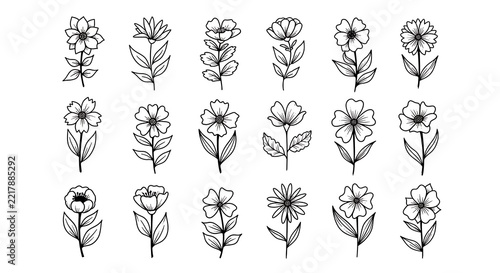 Collection of 15 black and white floral illustrations