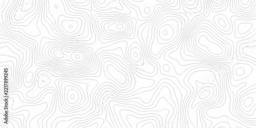 Topographic outline map. Geographic mountain relief. Contour maps. white spiral minimal line background, Topographic contour lines vector map paper pattern.