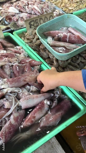 fresh fish on the market
