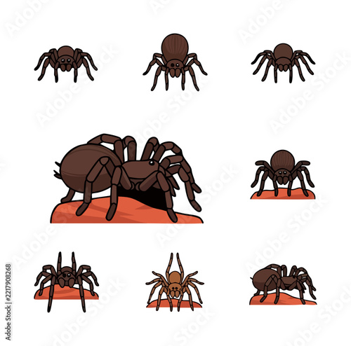 Collection of brown spiders with multiple legs on white background