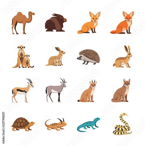 Collection of desert and savanna wildlife animals illustration