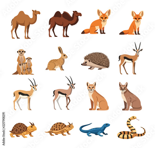 Collection of desert animals and reptiles isolated on white background