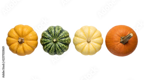 Top down flat lay view of four assorted autumn pumpkins and gourds arranged in a horizontal row, featuring a yellow ribbed pumpkin, a green speckled gourd, a pale yellow pumpkin, and a vibrant orange