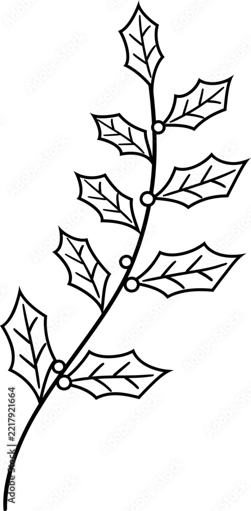 Fototapeta premium Hand drawn line art holly branch vector coloring page for kids. Rustic winter Christmas holly leaves and berries outline template stencil.