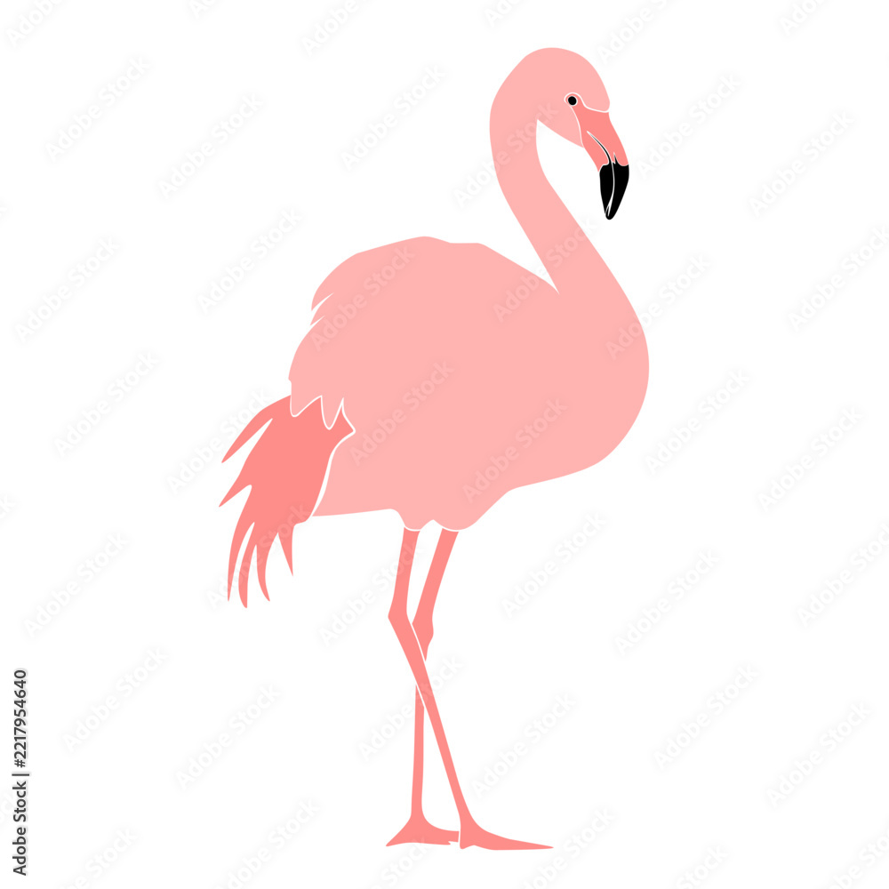 Fototapeta premium pink flamingo vector