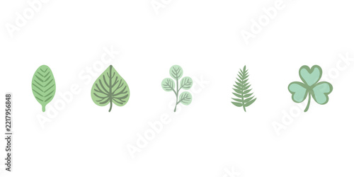 Green botanical foliage leaf vector set. Collection of flat nature elements including fern clover and tree leaves. 