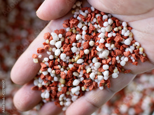 Close up of farmer hand holding mixed chemical NPK fertilizer granules