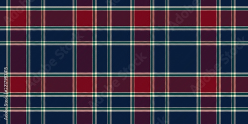 Navy blue and red tartan plaid seamless pattern background vector