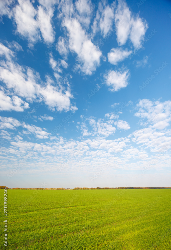 Naklejka premium Open countryside field under a vast blue sky