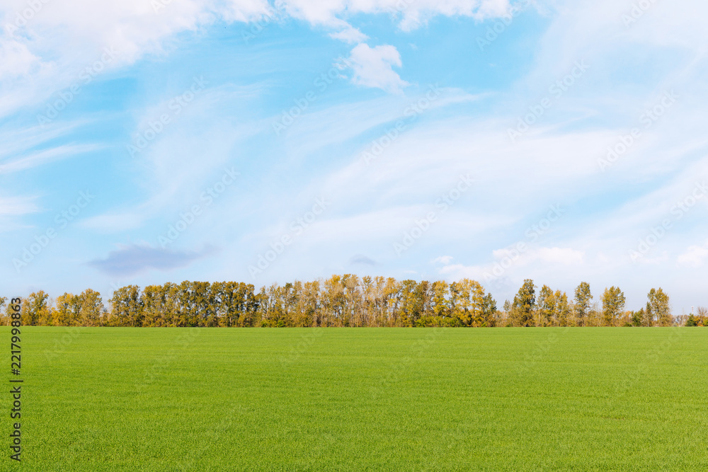 Fototapeta premium Fresh farmland stretching to a cloud filled horizon - with a low horizon