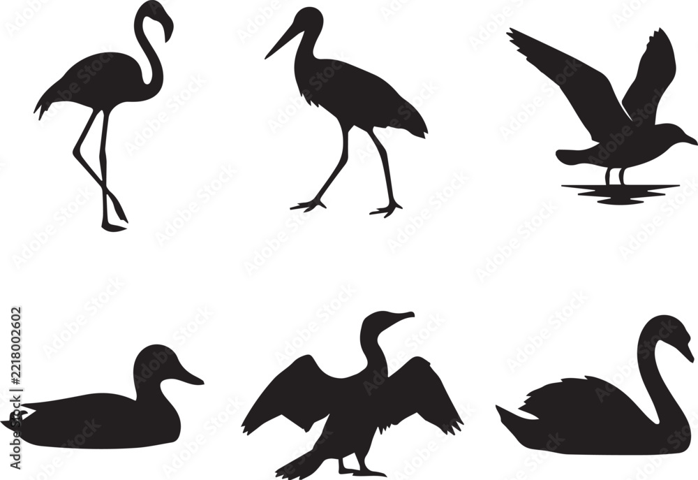 Fototapeta premium Black Water Bird Silhouette Set With Flamingo, Stork, Seagull, Duck, Cormorant and Swan