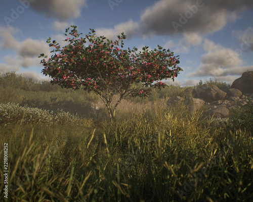 Blossoming european spindle tree in a hilly misty meadow with tall grasses and plants under a cloudy sky. 3D render.