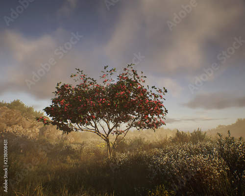 Blossoming european spindle tree in a hilly misty meadow with tall grasses and plants under a cloudy sky. 3D render.