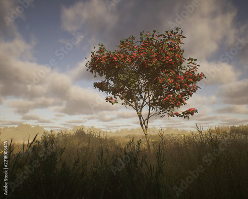 Blossoming european spindle tree in a hilly misty meadow with tall grasses and plants under a cloudy sky. 3D render.