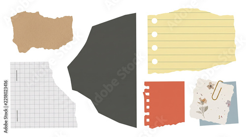 Assorted torn paper scraps with textures and grid patterns isolated on transparent background