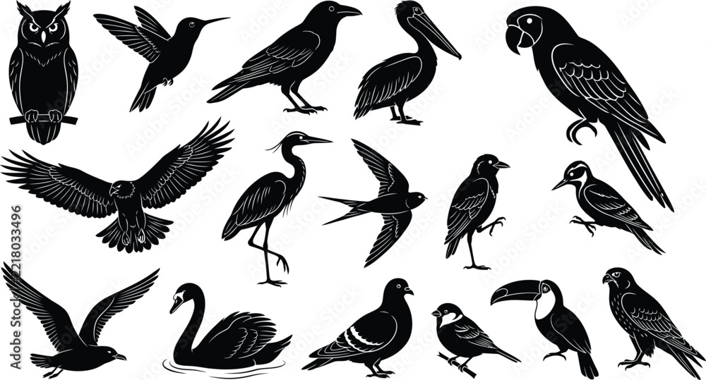 Fototapeta premium Black and white line art illustrations of diverse birds in flight and perched