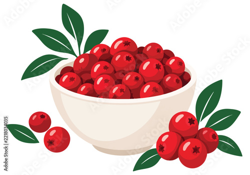 White Bowl Filled with Fresh Red Cranberries