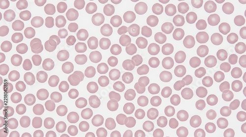 Microscopic View of Red Blood Cells