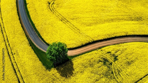 Aerial view of a green field with a road captured by drone. Scenic countryside landscape ideal for agriculture, travel, nature and environmental projects.