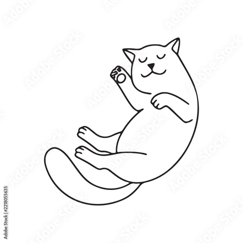 Relaxed cat sleeping curled up holding small ball toy in cozy indoor