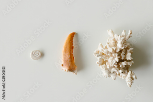 mix of stones and sea shells