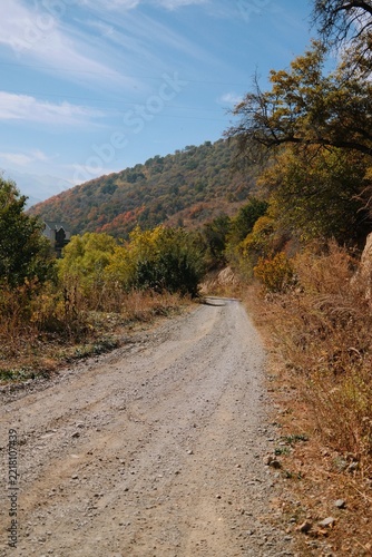 Quiet dirt trail crossing an autumn mountain landscape, bordered by dry vegetation and colorful trees under a bright blue sky.