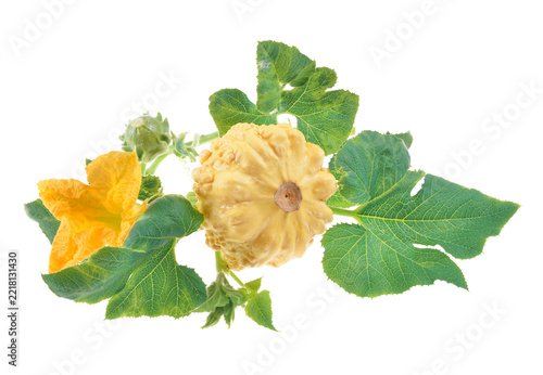 Decorative gourds and squash arranged with leaves on isolated white background