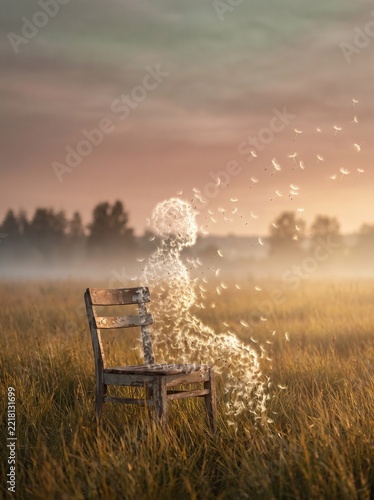 Dandelion seeds forming a human silhouette on a wooden bench in a misty field at sunset, a concept of grief transformed into memory