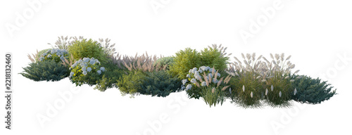 Garden landscape composition with blooming hydrangea bushes, ornamental pampas grass, and shrubs (hydrangea, pampas grass, fir shrubs) isolated PNG on a transparent background cutout