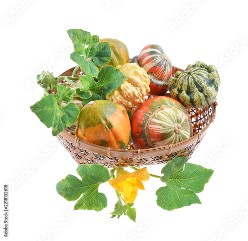 Variety of decorative gourds and squash arranged with leaves on isolated white background