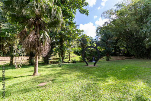 Lush Foliage on HSE Distillery garden, Gros-Morne, Martinique