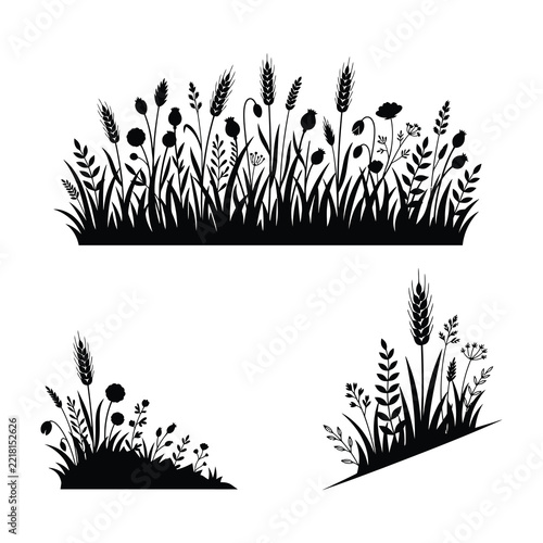 Black silhouette of wild grass and flowers on white background, set of garden plants shapes