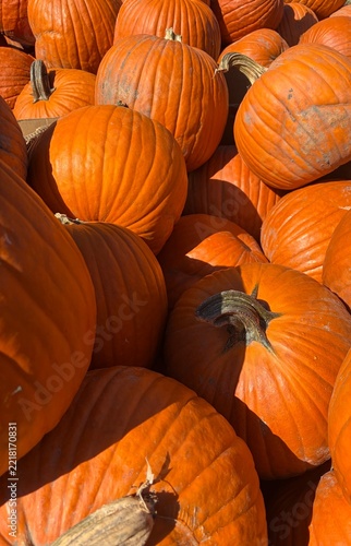 vibrant pile of bright orange pumpkins at the market
