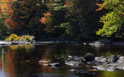 Dark river pops of color from sunlit autumn leaves along the banks in Ontario in October