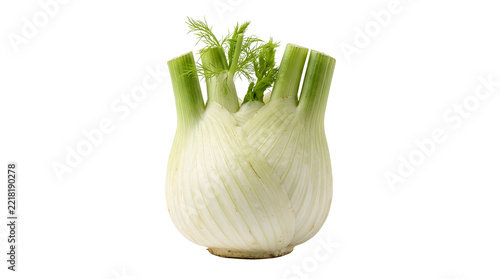 Fresh fennel bulb isolated on transparent background