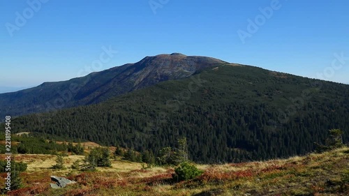 Scenic wide shot of the Babia Gora mountain range covered with lush coniferous forest and alpine meadows on a bright sunny day.