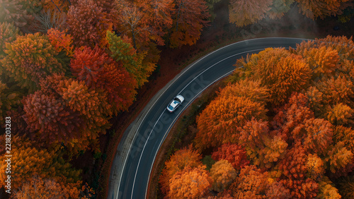 Aerial top down drone view of winding road in autumn forest