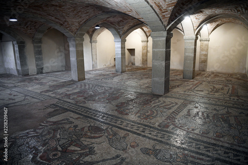 Fotografie 12th-century mosaic floor located in the crypt of the Abbey of San Colombano Bob