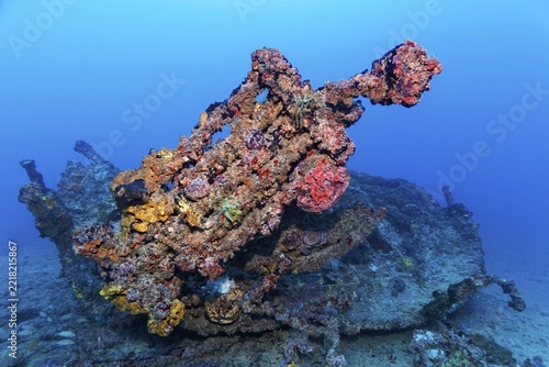 Wreckage and dinghy thickly encrusted with various sponges, tugboat, wreck, shipwreck, Virgen de Altagracia, Caribbean Sea near Playa St. Lucia, Camagüey Province, Caribbean, Cuba