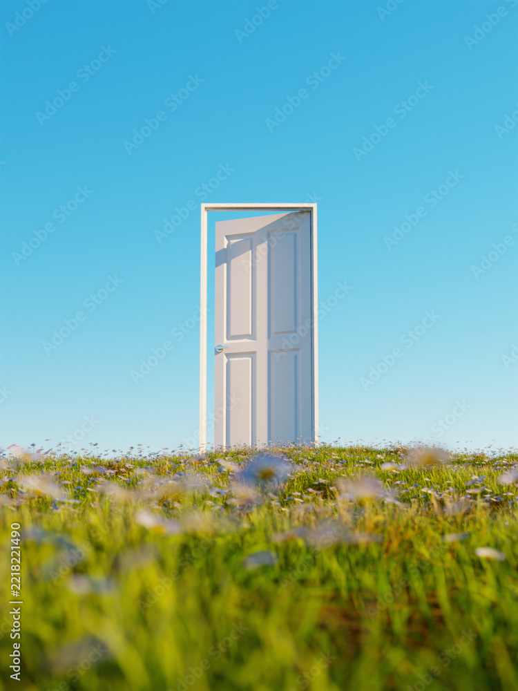 Fototapeta premium open door to the field