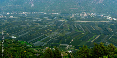 Apple orchards filling an alpine valley below forested peaks