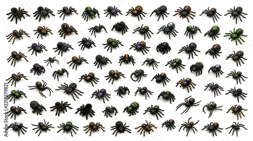 Collection of various small black spiders isolated on a white background, top view of multiple arachnids arranged in a grid pattern for scientific study