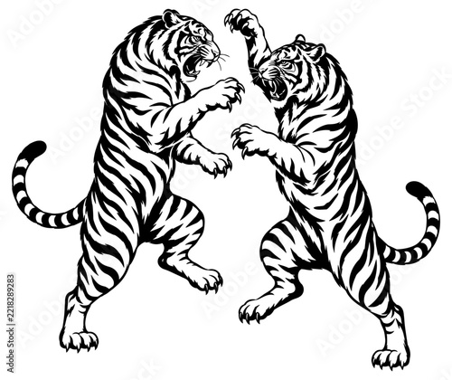 Two Fighting Tigers in Aggressive Combat Black Vector Illustration