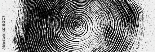 Weathered tree ring pattern dendrochronology seamless texture. Weathered tree ring pattern forming a black and white seamless texture background