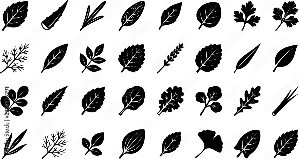 Fototapeta premium A collection of various hand drawn leaf icons featuring diverse botanical shapes and foliage styles isolated on a clean white background
